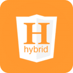 Hybrid Application Development